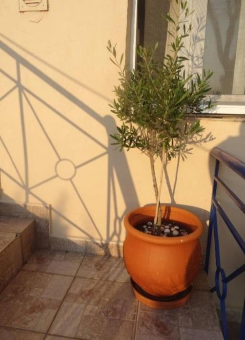 Velika Seaside Apartment エクステリア 写真